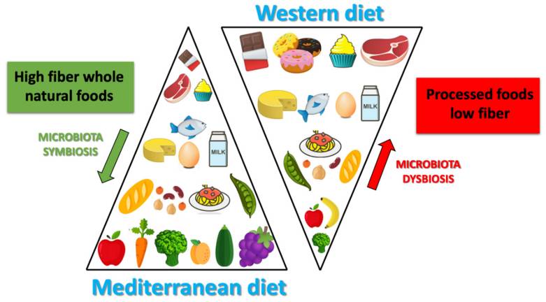 Dieta microbiota pdf